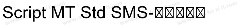 Script MT Std SMS字体转换